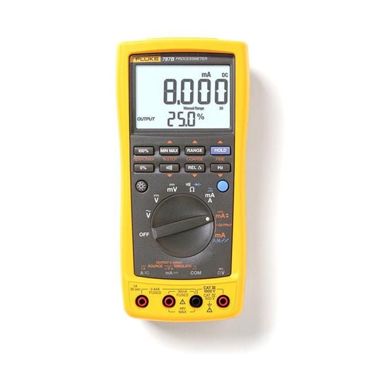 Process Meter